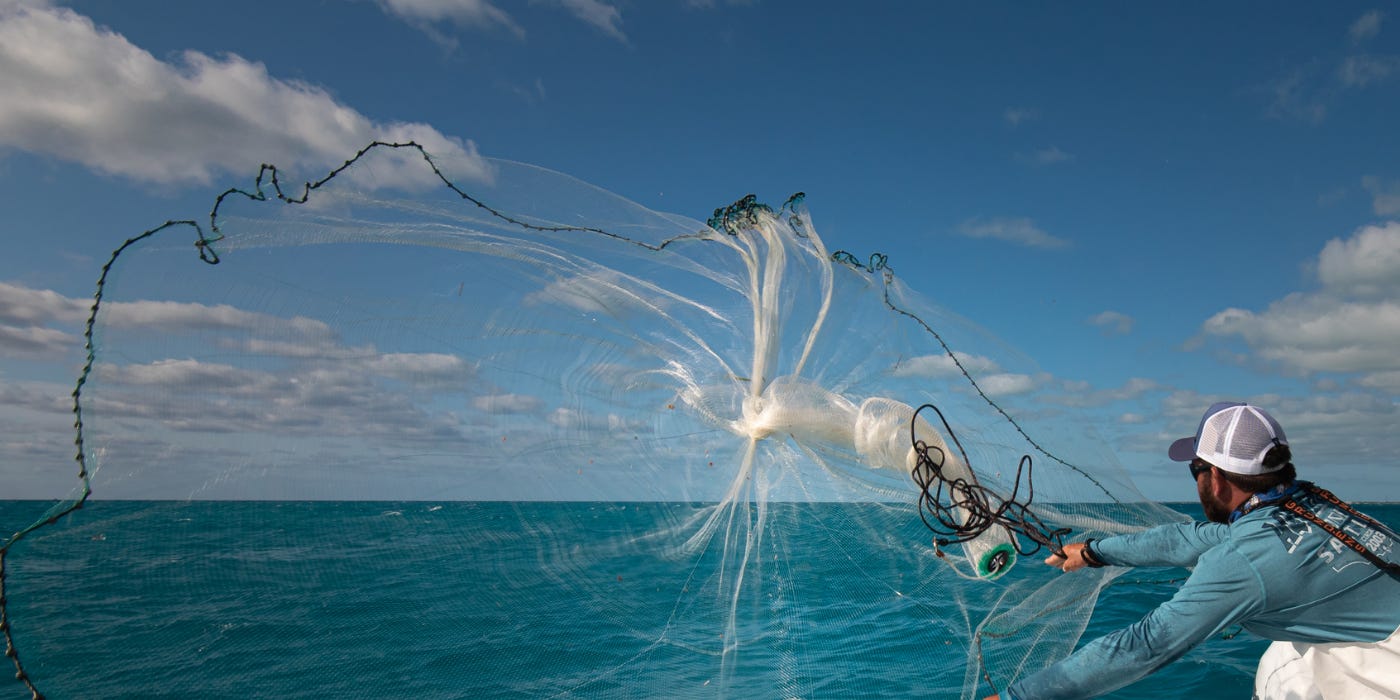 Salt Life | Cast Net Fishing | Salt Life