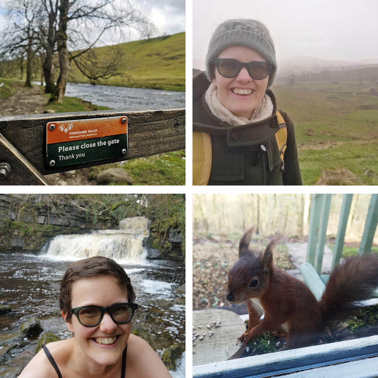 A quartet of photos. Clockwise from top left: A close up of a wooden gate, with an orange and black sign that reads "Yorkshire Dales National Park Authority" with a ram's head logo, and then, "Please close the gate, thank you." Beyond the gate, a footpath follows the bank of a river, with a green sloping hill in the background. 2) A selfie. Katie looks bewilderedly at the camera, wearing sunglasses but also woolly hat, coat and shawl, the sunny weather that started the walk has suddenly turned to low cloud, mist and then hail. In the background, a hazy landscape of green fields, trees and hills. 3) The most adorable red squirrel, with the most fantastic tufty ears, stands by a feeder on the windowsill. There are some sunflower seeds sitting out on the wood to tempt them, but they seem just as curious about the human watching them from behind the glass. 4) Another selfie. Katie grins at the camera with the joy only a freezing cold spring dip can bring. In the background, a little waterfall and deep pool filled by the recent rain/hail (see above - this dip was part of the same walk!).