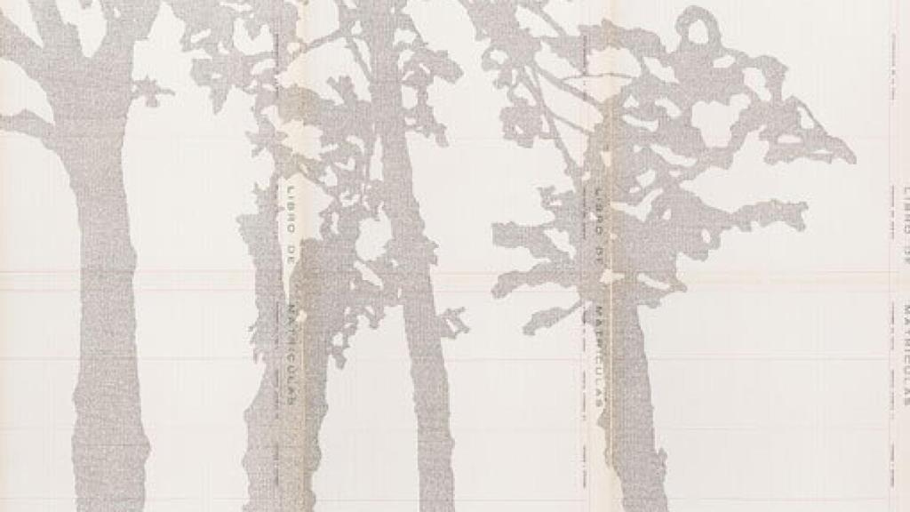 Los fonemas de Johanna Calle