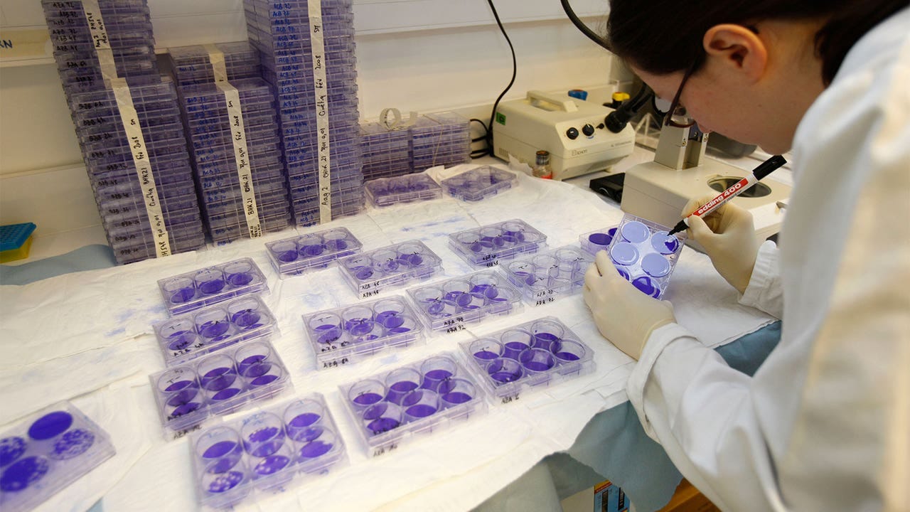  A photo of a female virologist marking samples with a marker in a laboratory.