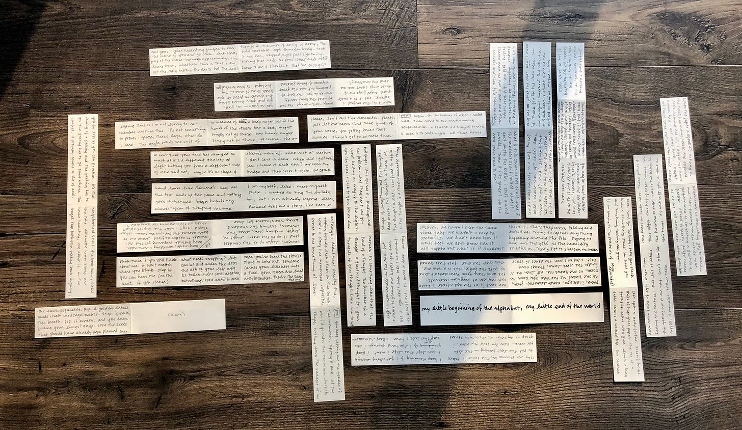 a collection of paper scraps, written on in black ink, laid out on a wooden floor, handwriting facing all directions, scraps making a lot of right angles.