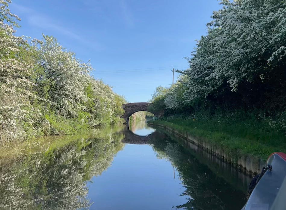 A narrow canal stretches into the distance beneath a clear blue sky, flanked by lush green foliage and white-blossomed hawthorn trees on both sides. A brick arch bridge crosses the canal, perfectly reflected in the still water below. The front corner of a narrowboat is visible in the lower right-hand corner, suggesting a tranquil journey along the waterway.