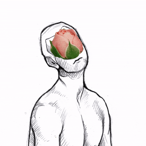 Gif animado de ilustração de desenho simples de lápis mostrando o busto de um homem sem camisa cujos olhos estão cobertos pela imagem realista de uma rosa cor-de-rosa que se abre até cobrir toda sua cabeça