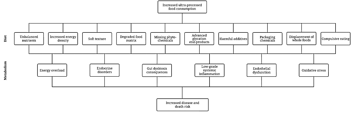 A diagram of a company
AI-generated content may be incorrect. A diagram of a company
AI-generated content may be incorrect.