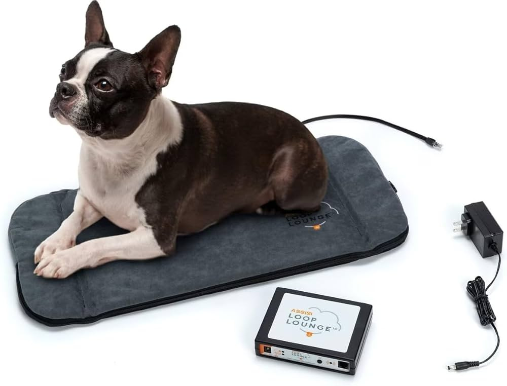 Amazon.com : Assisi Loop Lounge System | Size: Small : Pet Supplies