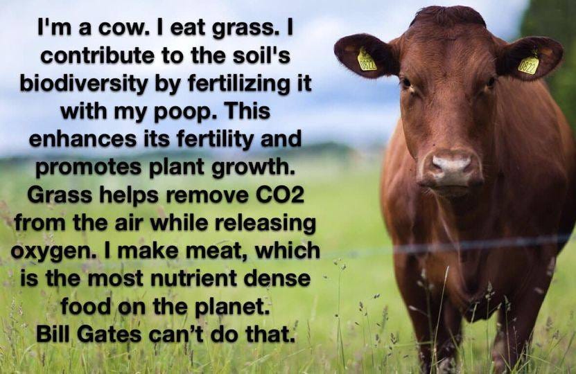 May be an image of grass and text that says 'I'm a cow. I eat grass. I contribute to the soil's biodiversity by fertilizing it with my poop. This enhances its fertility and promotes plant growth. Grass helps remove CO2 from the air while releasing oxygen. I make meat, which is the most nutrient dense foodon the planet. Bill Gates can't do that.'