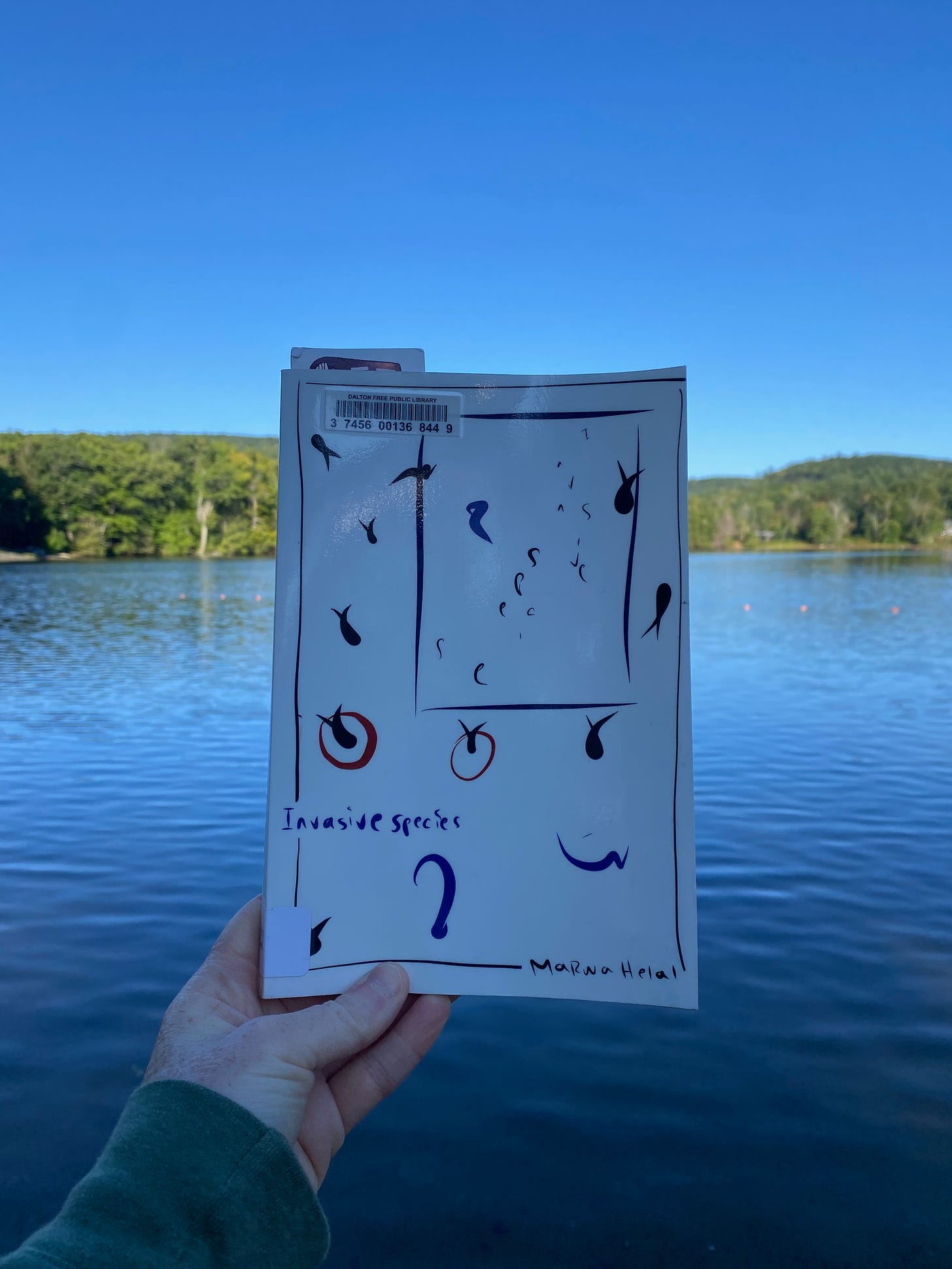 I’m holding up Invasive species in front of a deep blue lake.