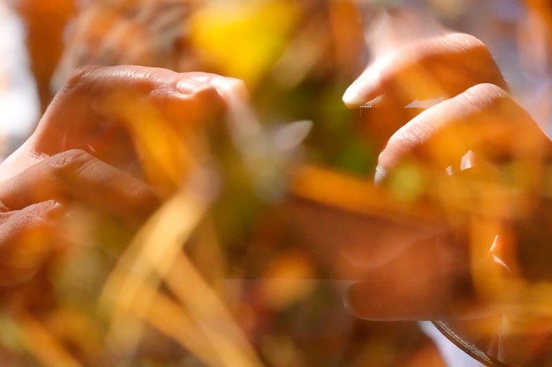 Self-portrait in water – reflected hands and vibrant autumn colours