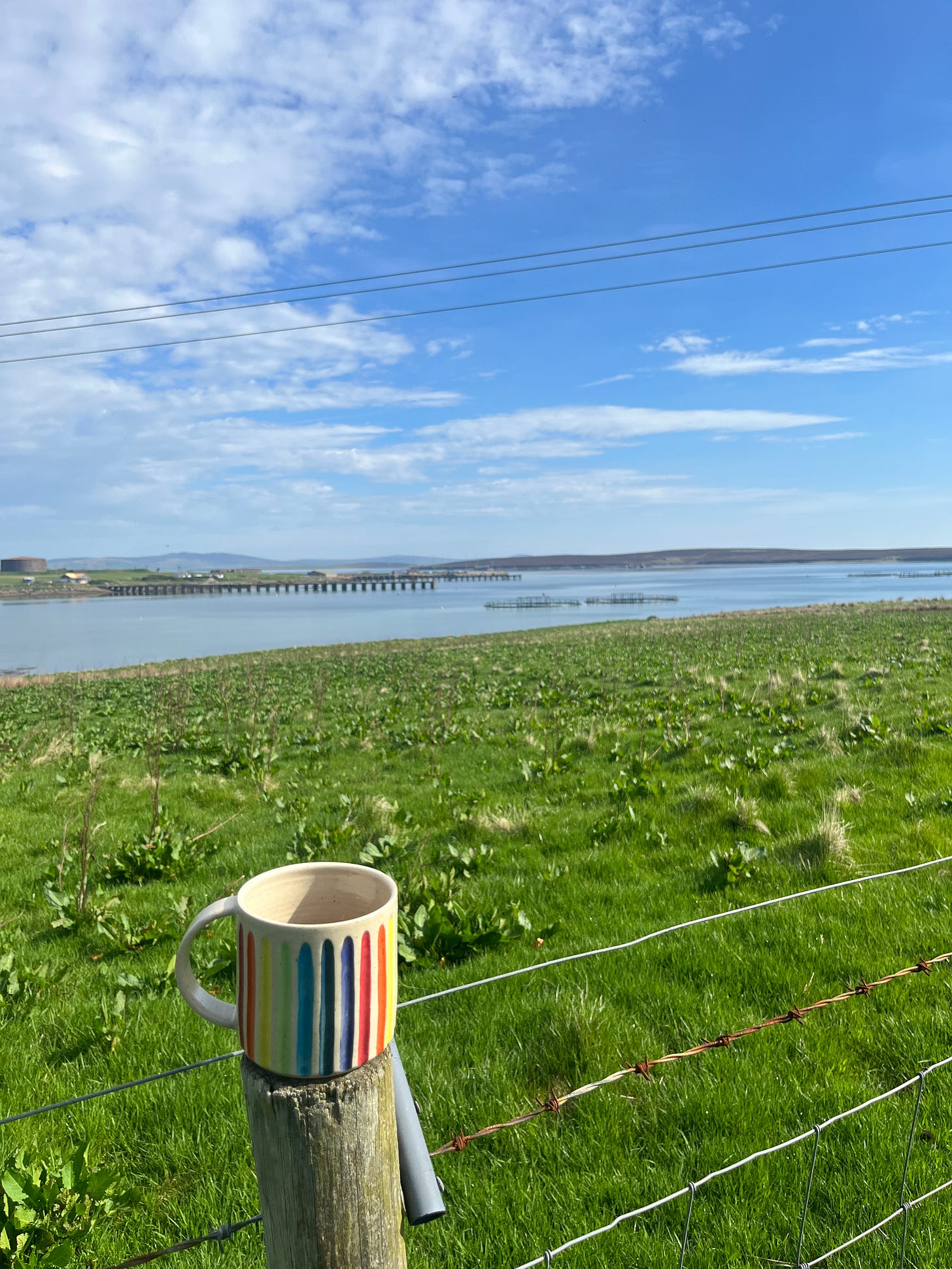 Picture is taken from a field overlooking a small bay and the sea, boyind which you can see hills. It is Scapa Flow, Orkney