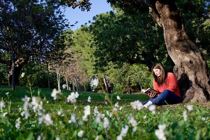 Woman reading a book under a tree.