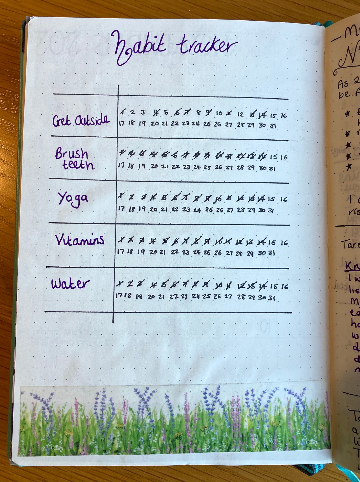 A photograph of my January habit tracker in my bullet journal. 