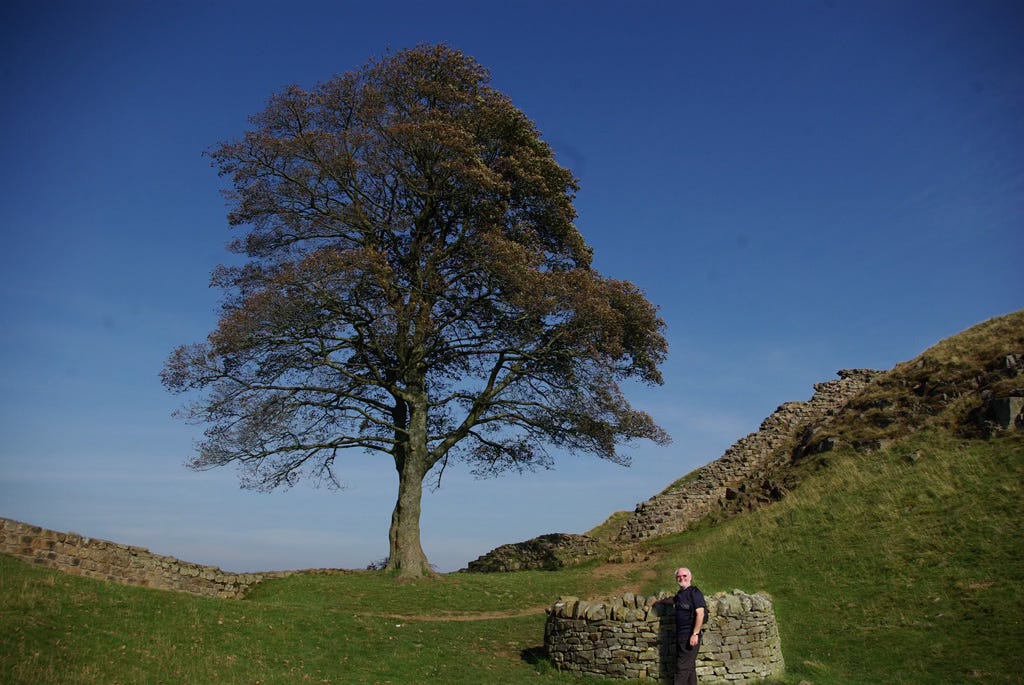 Vince at the Sycamore Gap Tree