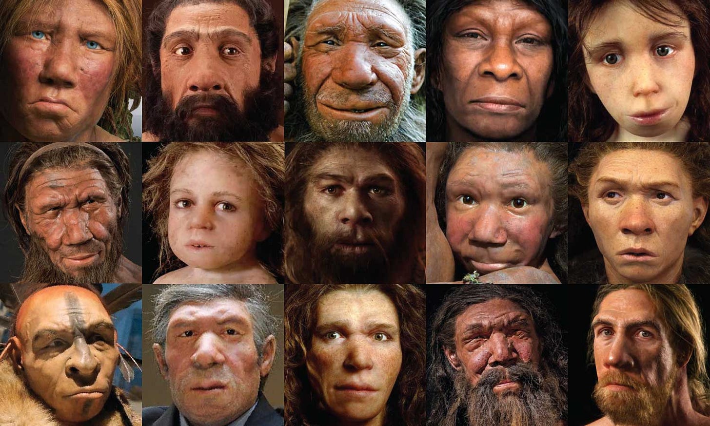 Fifteen Neandertal faces of varied ages and complexions Fifteen Neandertal faces of varied ages and complexions