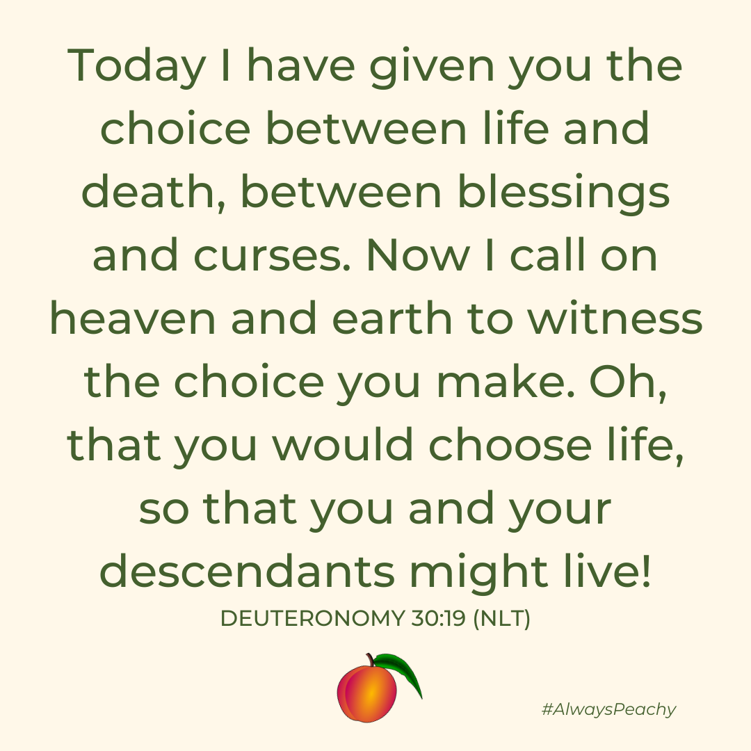 Today I have given you the choice between life and death, between blessings and curses. Now I call on heaven and earth to witness the choice you make. Oh, that you would choose life, so that you and your descendants might live!