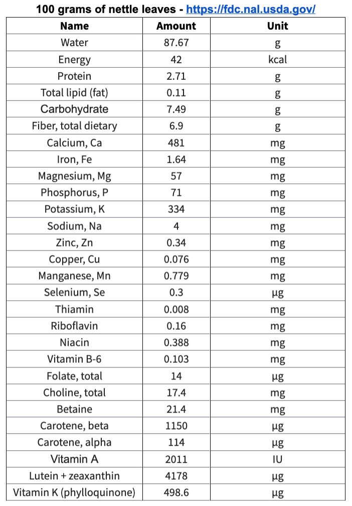 Nettle benefits