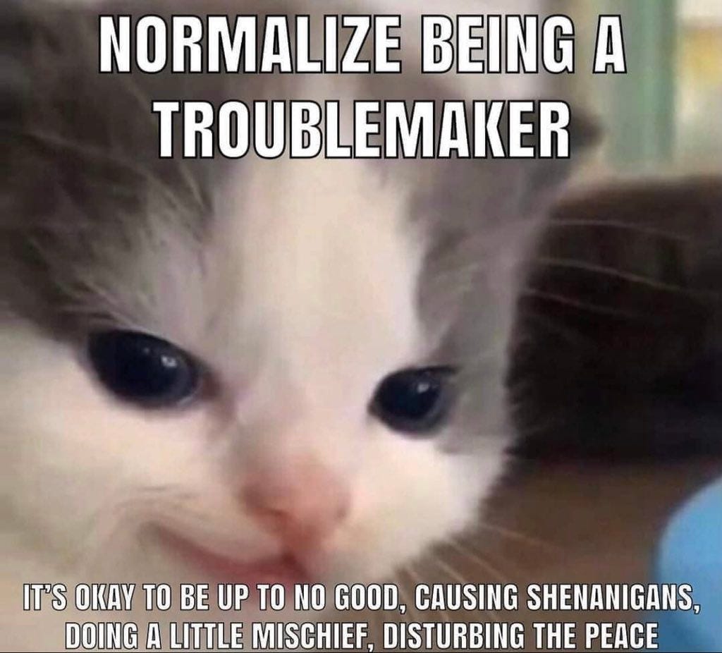 normalize being a troublemaker. normalize being weird. neurodivergent. unique.