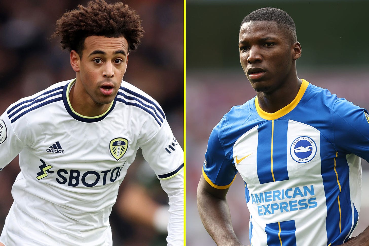 Chelsea add Leeds star Tyler Adams to list of four Moises Caicedo  alternatives which includes Liverpool transfer target Romeo Lavia |  talkSPORT