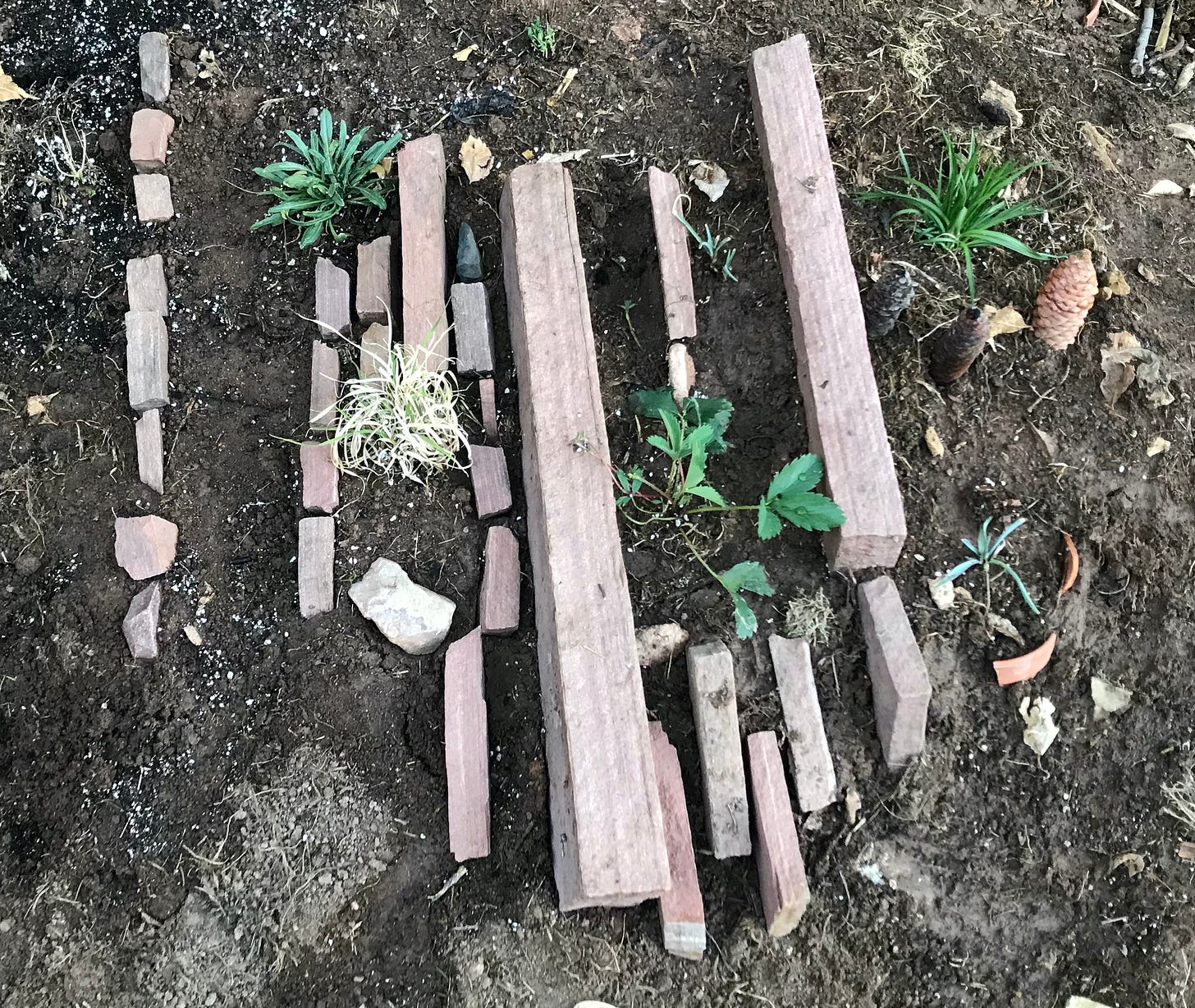Long thin sandstone pieces with plants wedged in between on a small soil mound