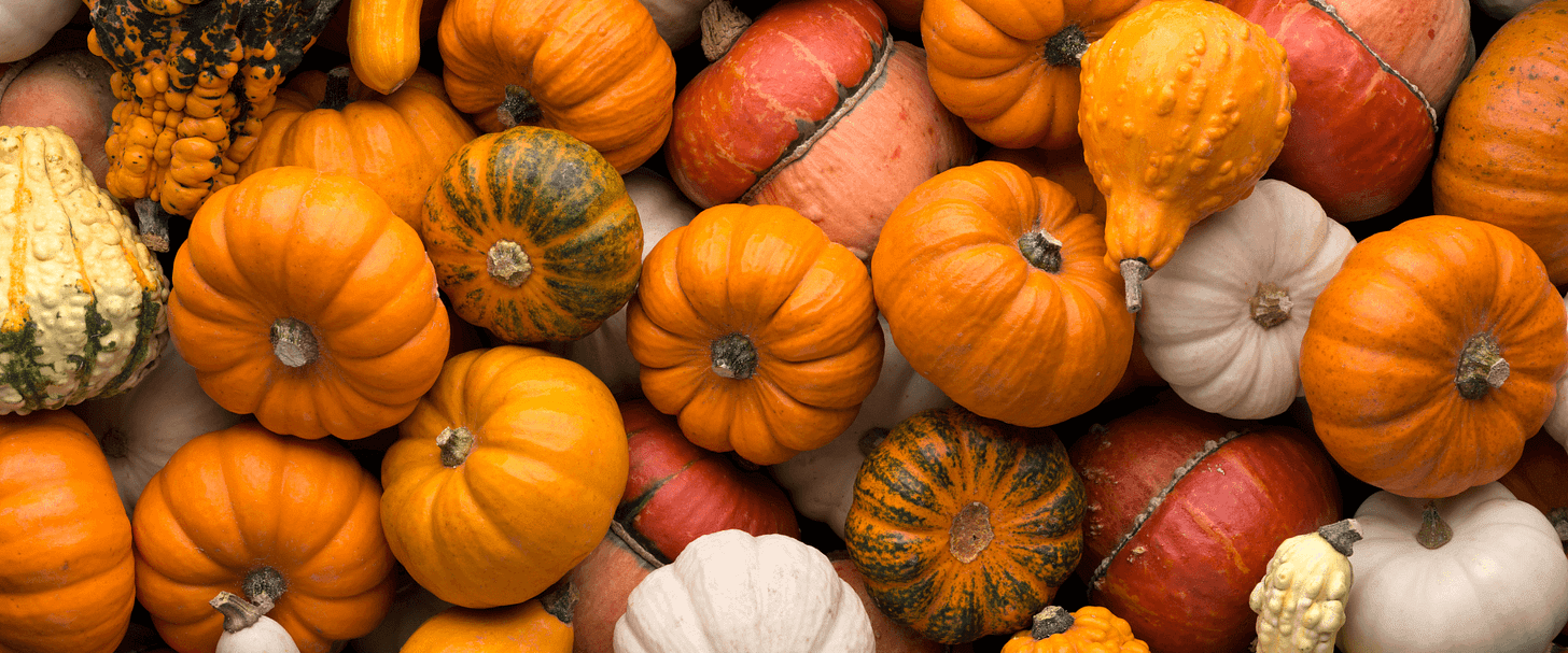 A variety of pumpkins stacked.