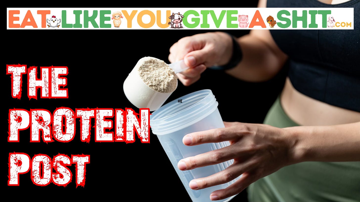 Woman scooping protein powder into a cup