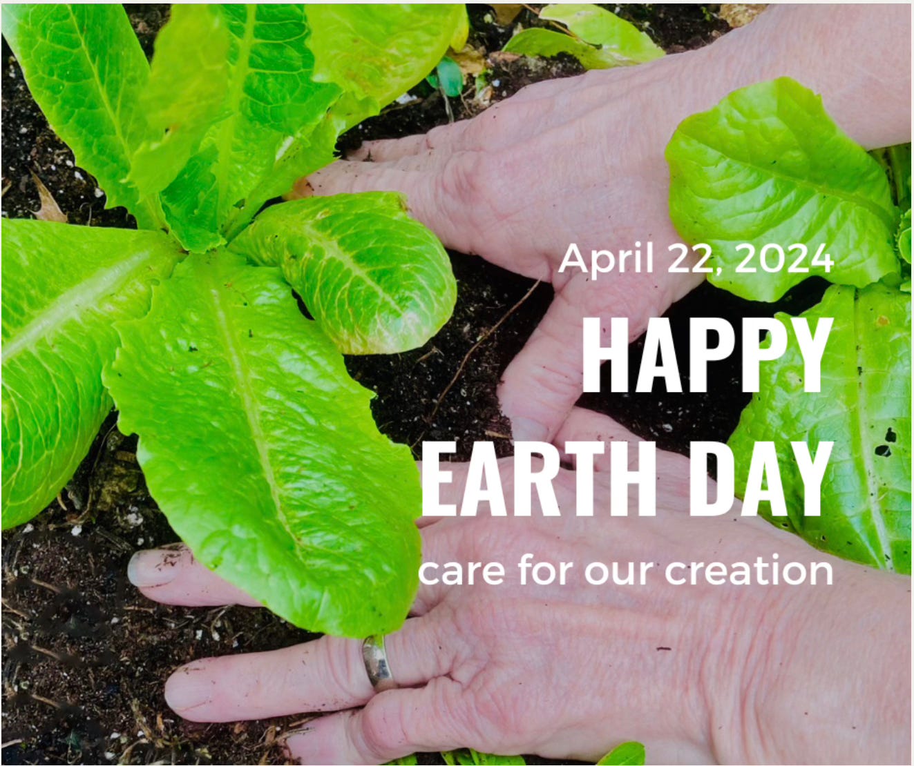 Image of hands in garden soil with young lettuce. Wording says Happy Earth Day April 22 2024 - care for our creation.