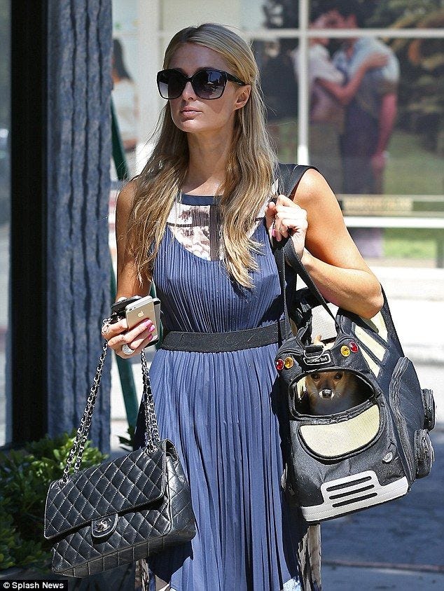 Paris hilton dog bag store