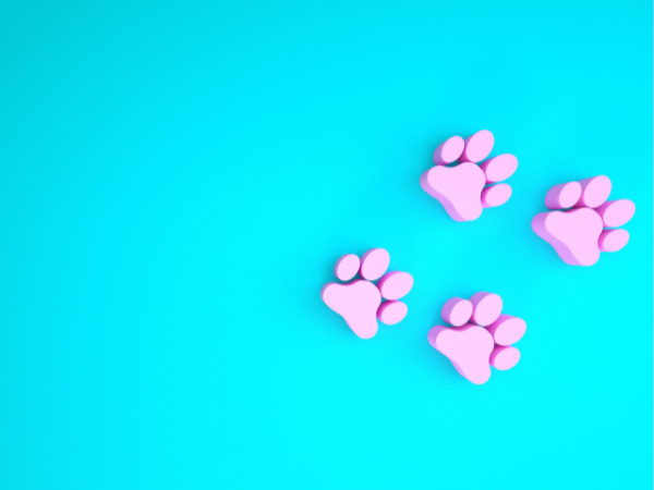 Pink paw prints against a neon turquoise backdrop