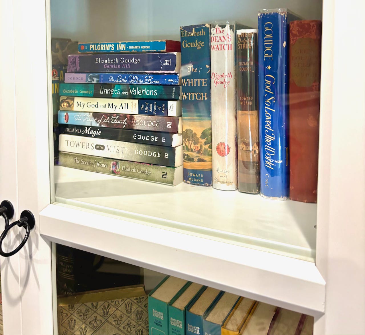 Mary’s glass bookcase. Photo by Mary Prather