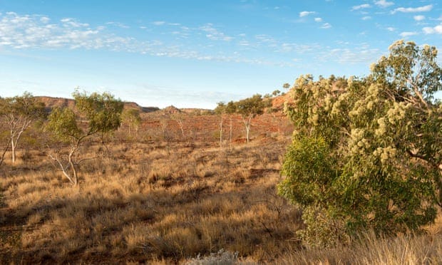 a scrubby hilly area in outback Queensland