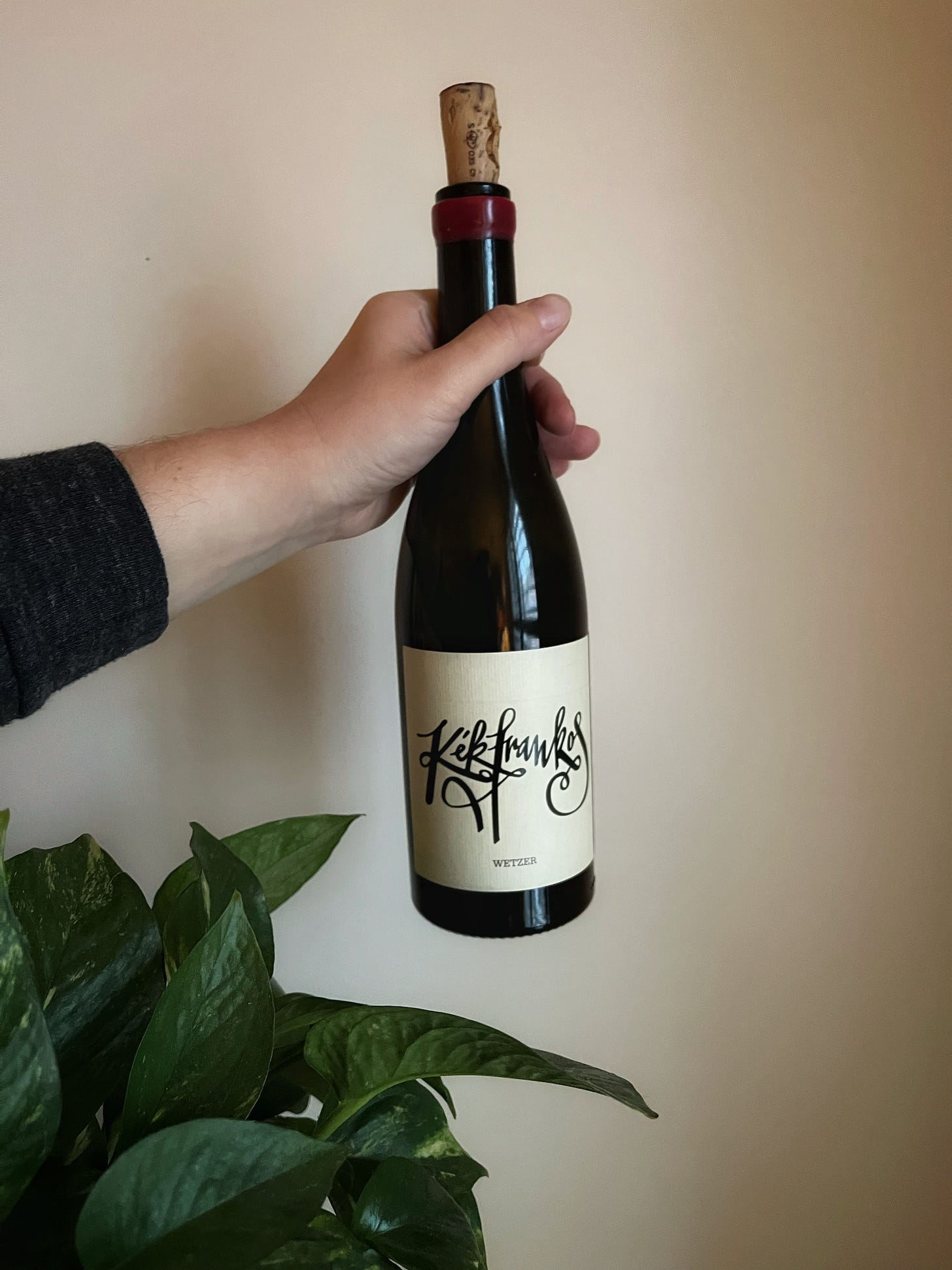Natural wines to try by food and travel writer Courtney Jill Bishop.