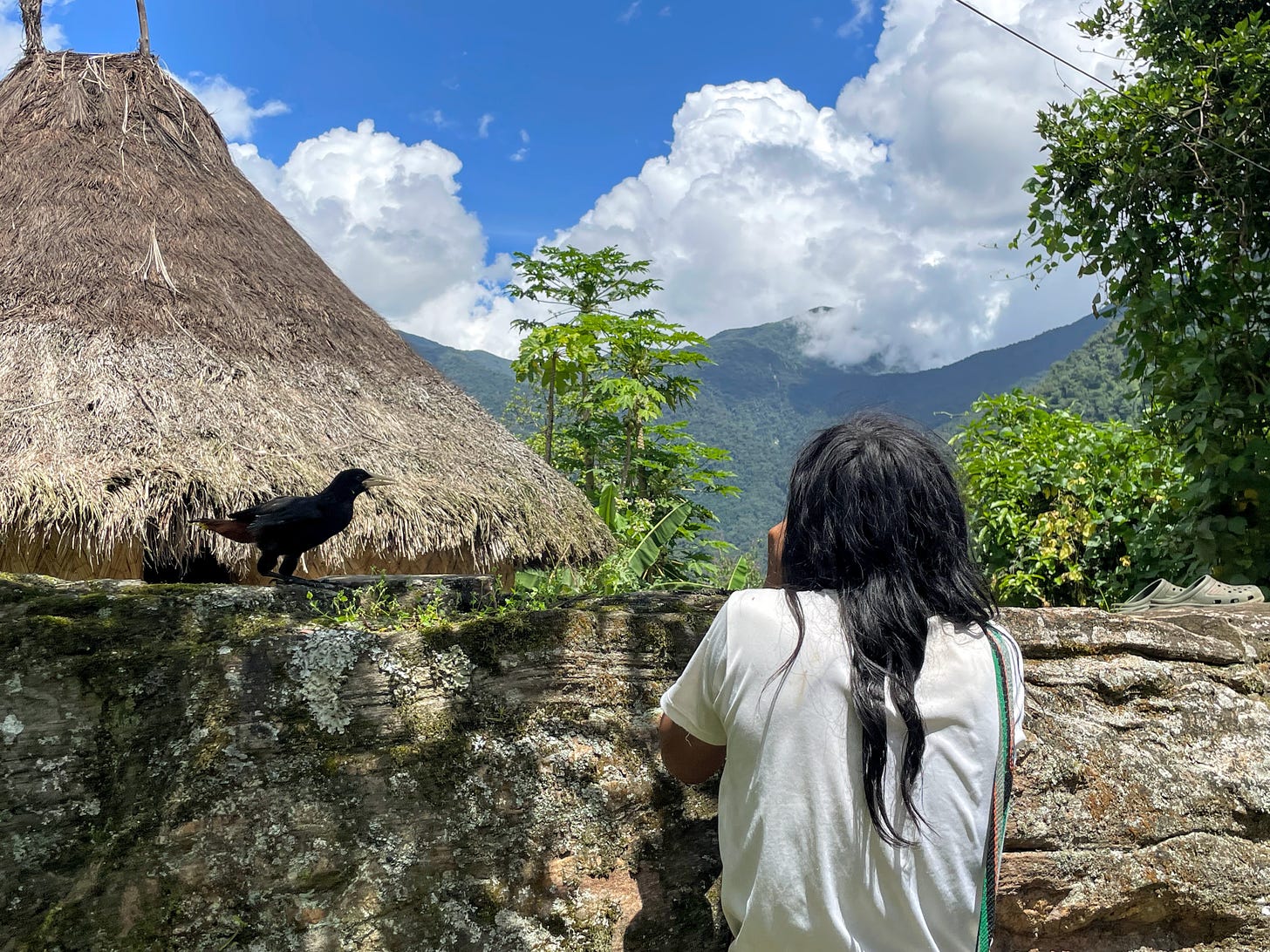 A man with long black hair wearing a white shirt whistles through his closed hand, as a black bird with bright yellow beak walks toward him. A thatch-roofed home and green hills sit in the distance under a bright blue sky with large puffy white clouds