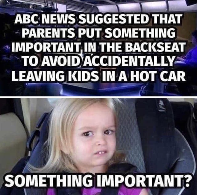 r/memes - ABC NEWS SUGGESTED THAT PARENTS PUT SOMETHING IMPORTANT IN THE BACKSEAT TO AVOID ACCIDENTALLY LEAVING KIDS IN A HOT CAR SOMETHING IMPORTANT?