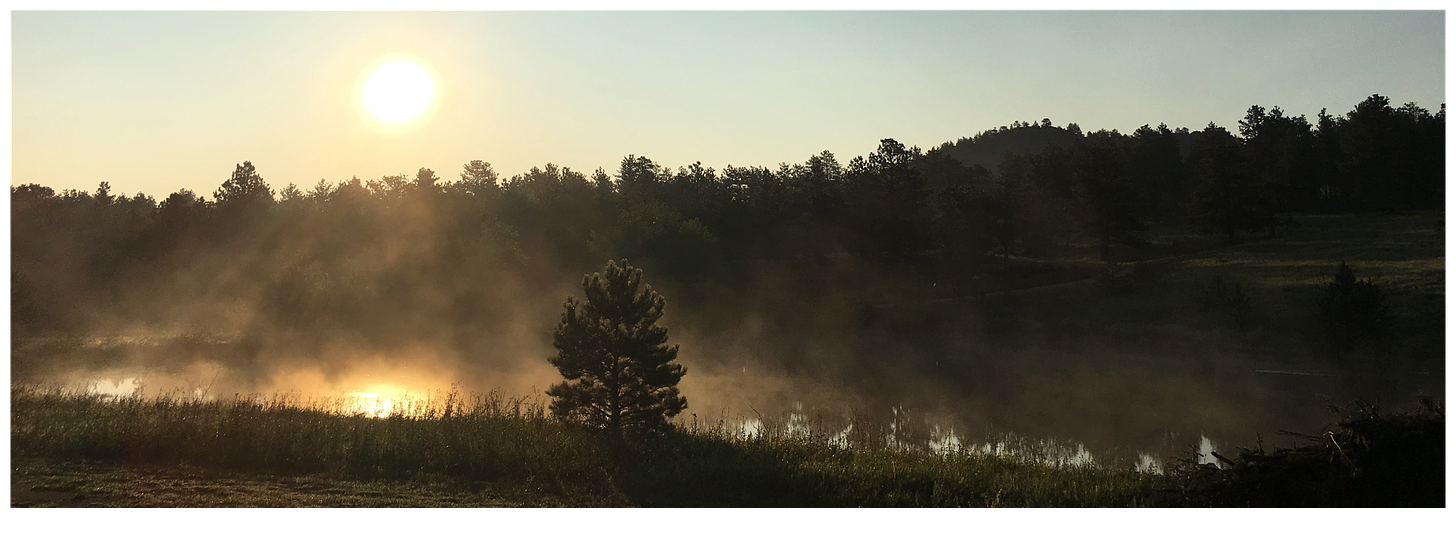 Misty sunrise. Steam evaporates over a lake with trees in the background and a lone tree in the forground.