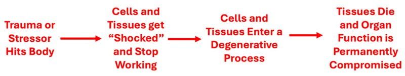 organ degeneration