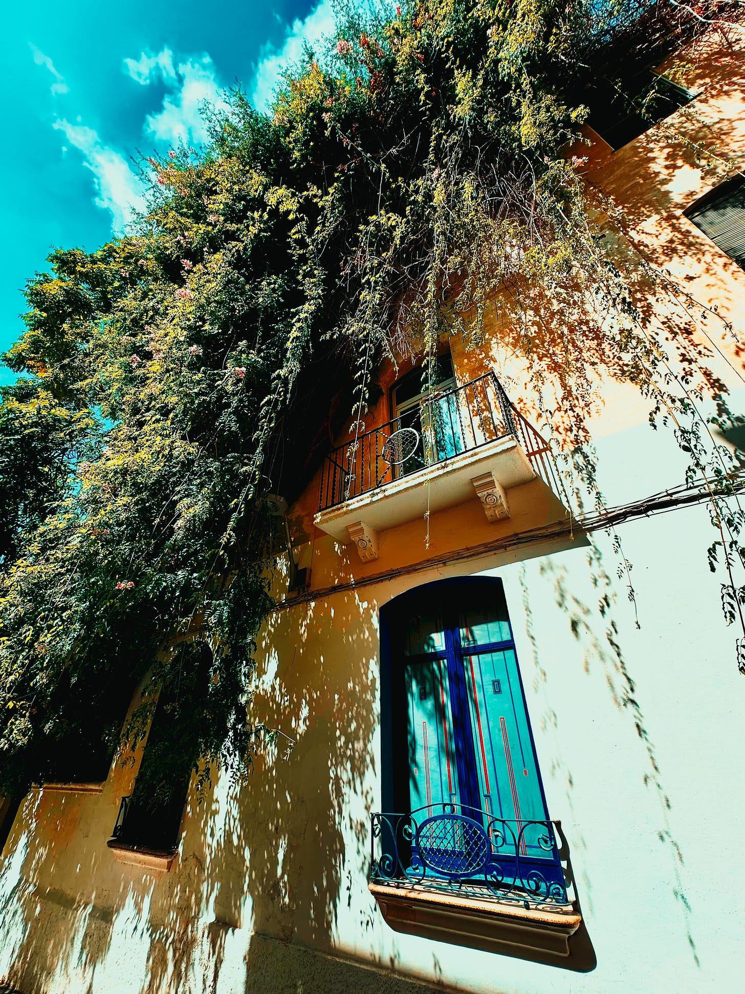 Draped in Green Vine - A well-covered building