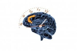 Brain and clock hybrid illustration