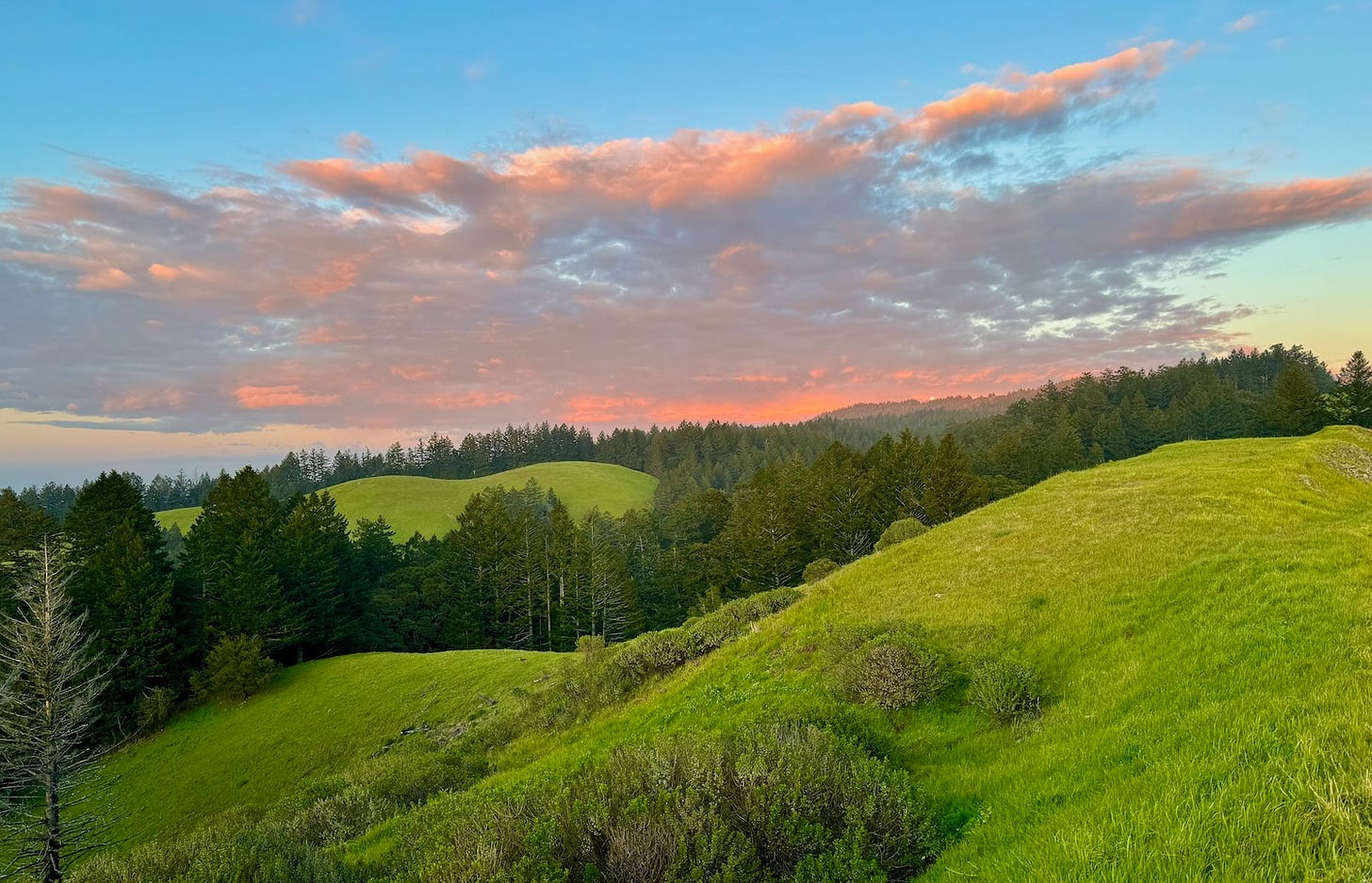 green hills, pink clouds, blue sky on Bolinas Ridge