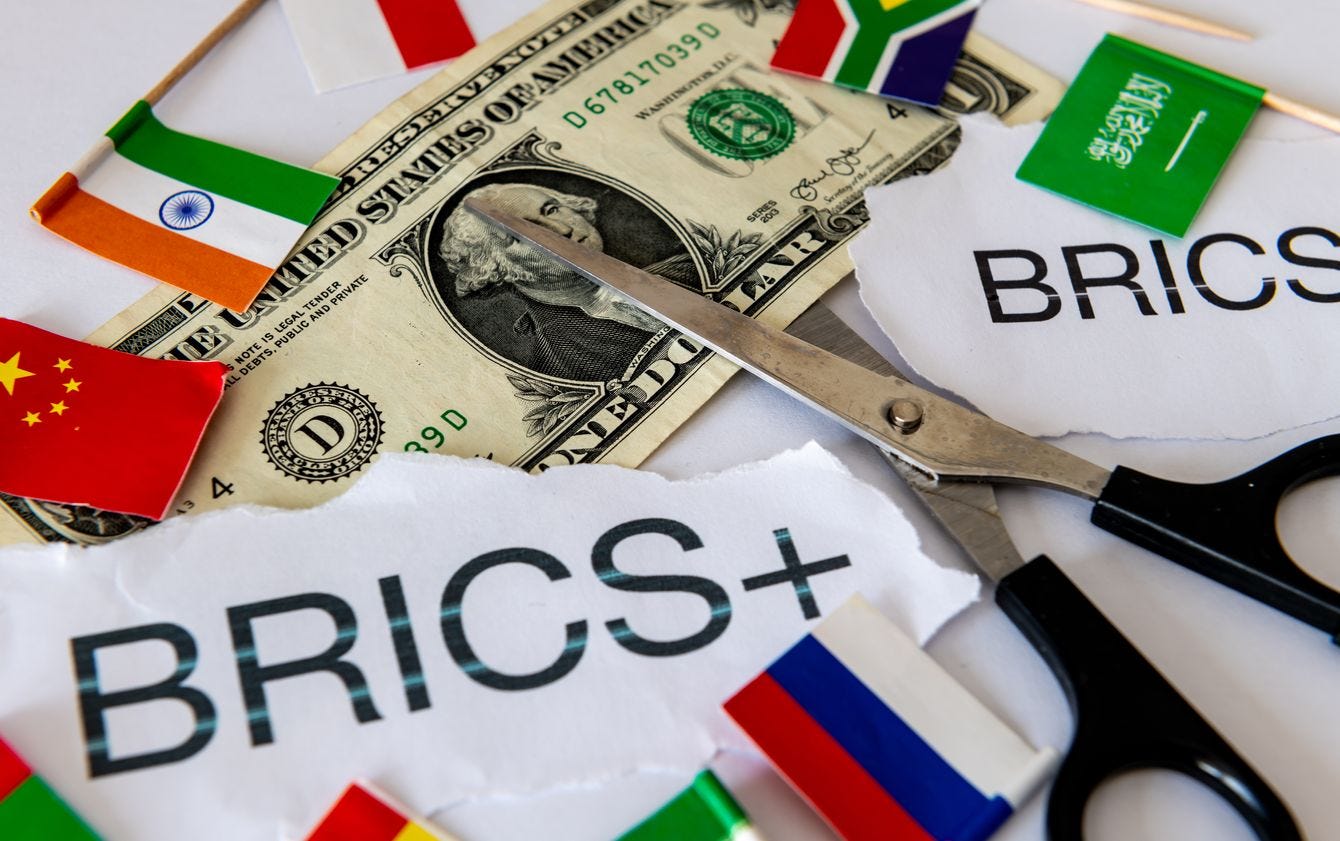 BRICS Bridge digital payment system ‘will be a bombshell globally’ – Chair of Russia’s Federation Council teaser image