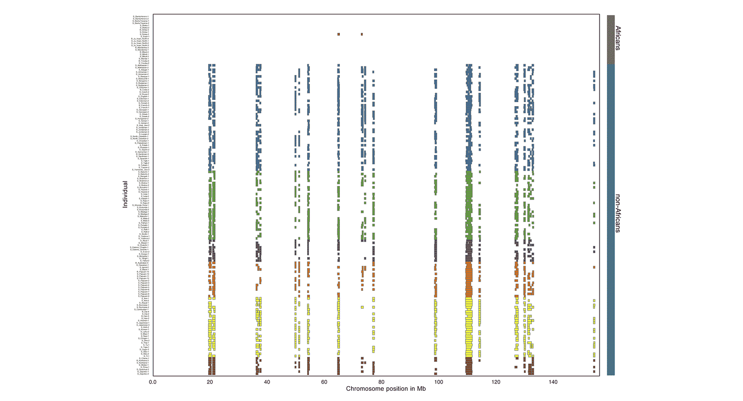 A matrix showing extended haplotypes in samples of individuals against chromosome position A matrix showing extended haplotypes in samples of individuals against chromosome position