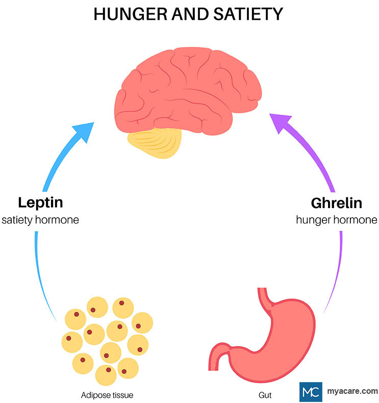 WHAT IS GHRELIN? | Mya Care