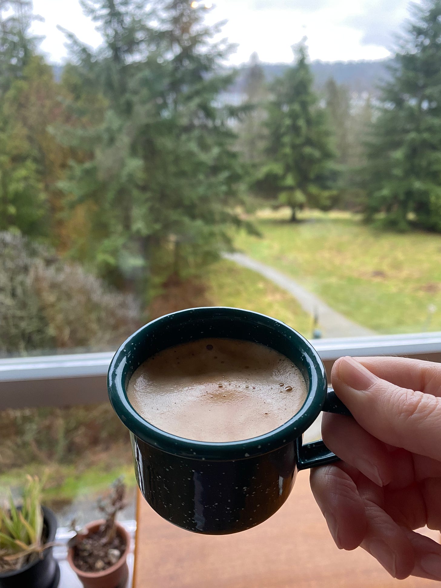 A green enamel espresso cup, the type of cup people take camping. I'm holding it by the handle with my finger and thumb in front of the dining table, and in the background you can see the trees in the park out the window.