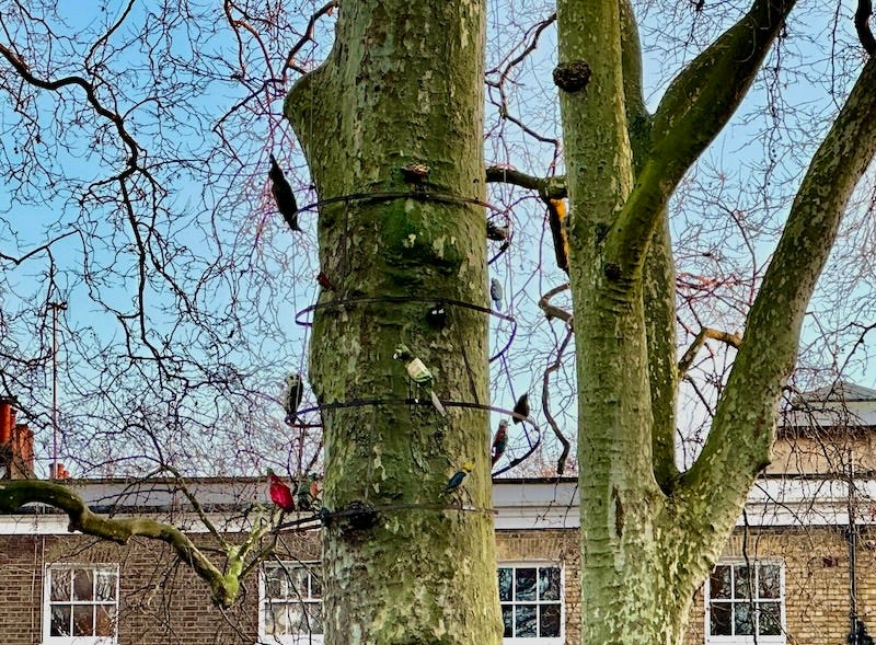 some fake birds in a tree. they have been here since 1998 and hardly anybody ever notices them