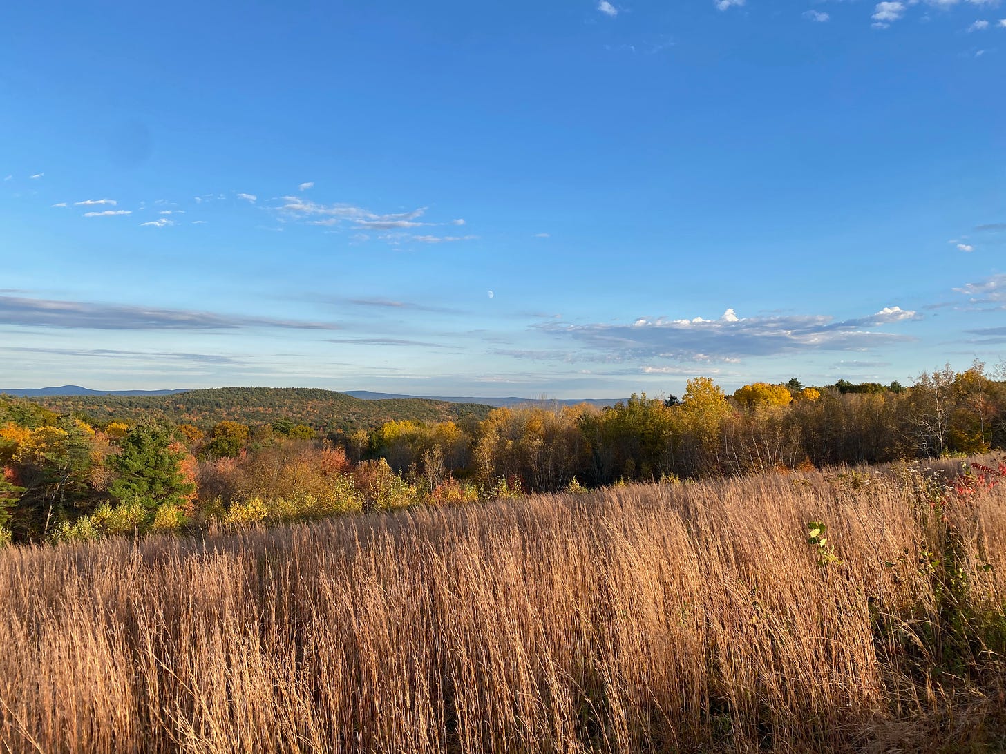 View of a hilltop meadow of brown grasses lit up with late afternoon light. Behind the meadow, hills of fall foliage under a sharp blue sky.