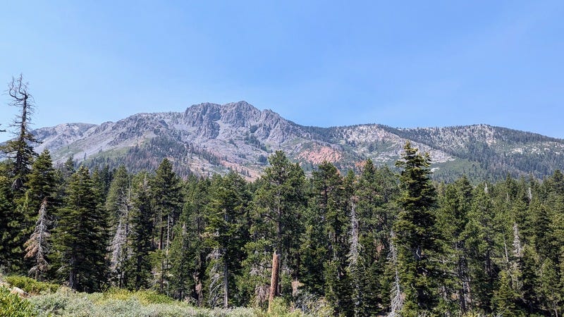 Blue sky, mountains, and evergreen trees