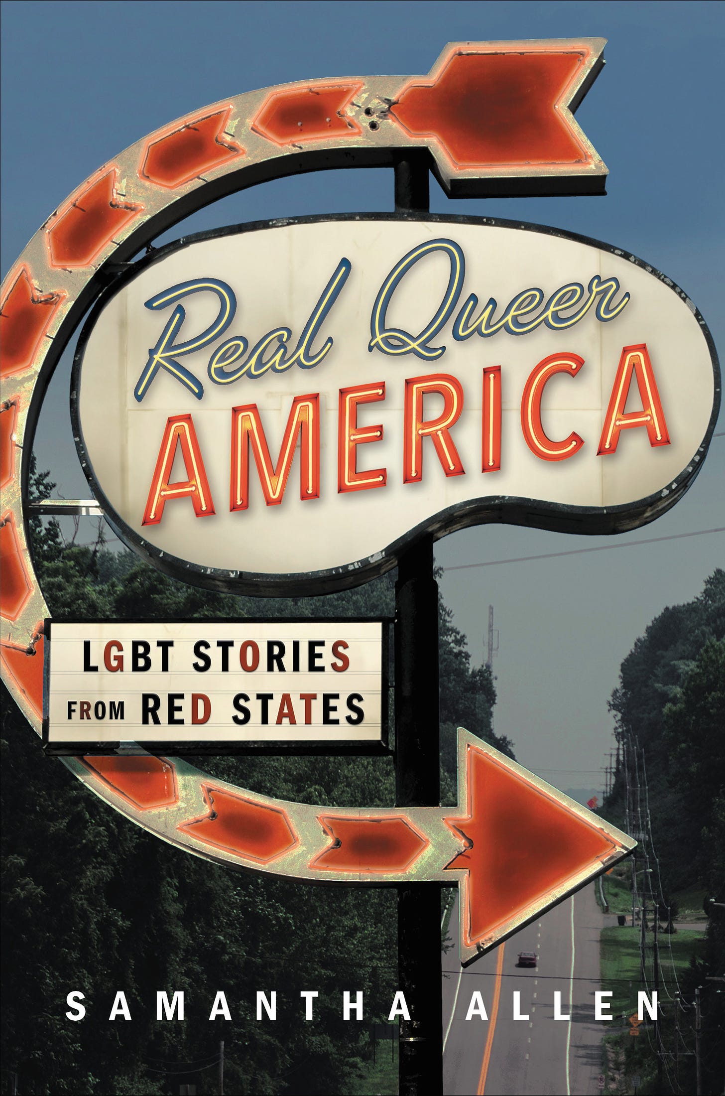Book cover for Real Queer America