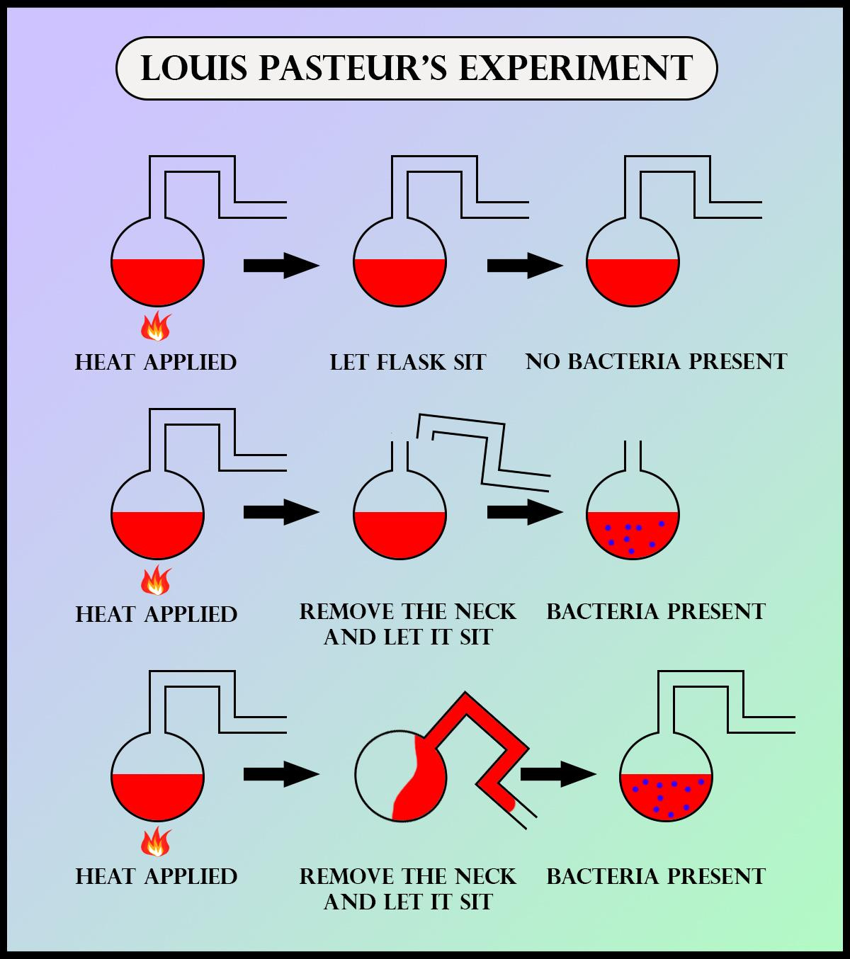 What did Louis Pasteur's experiment on killed yeast demonstrate? Name ...