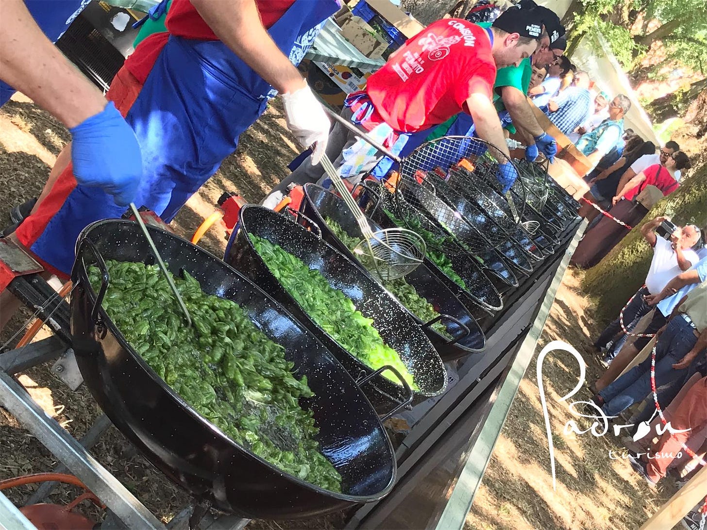 Fiesta del Pimiento de Herbón - Padrón Turismo