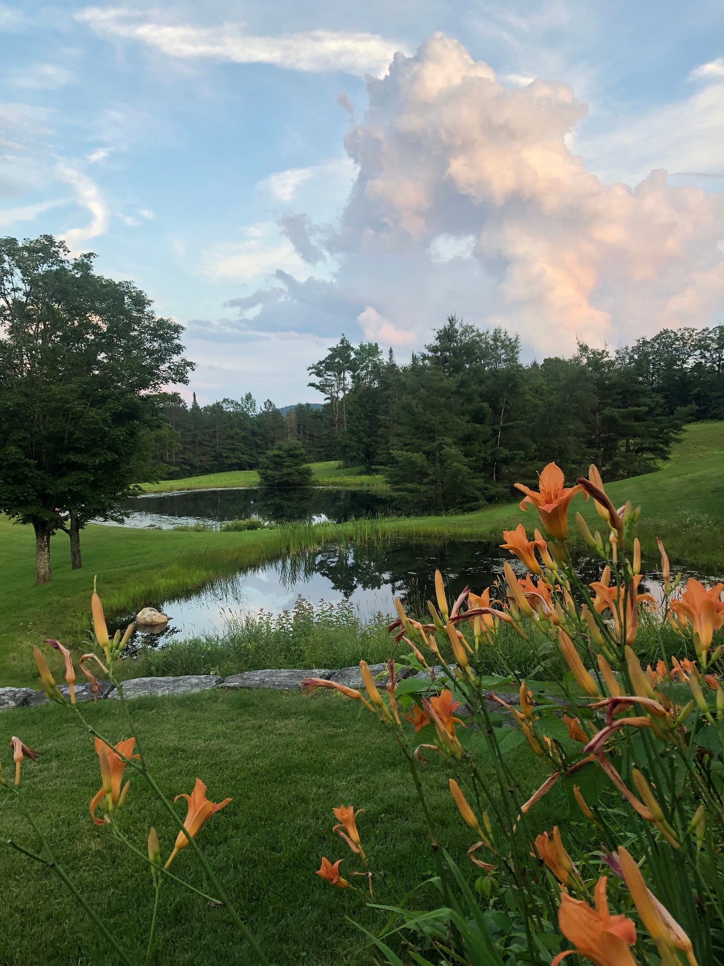 Two natural ponds surrounded by green grass and green trees. The sky is blue and partly clouded above. In the foreground are orange daylilies.