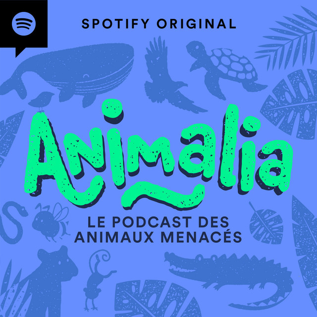 Animalia | Podcast on Spotify