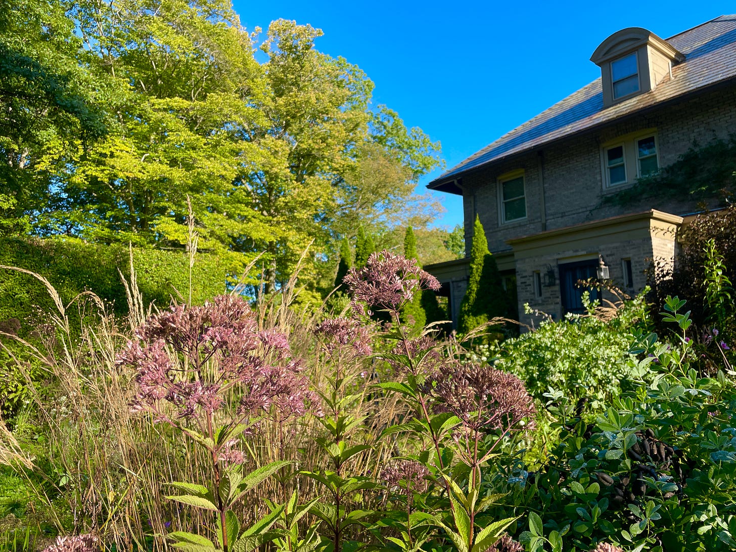 Joe Pye, Feather reed grass and Baptisia hold their foliage far into the autumn.